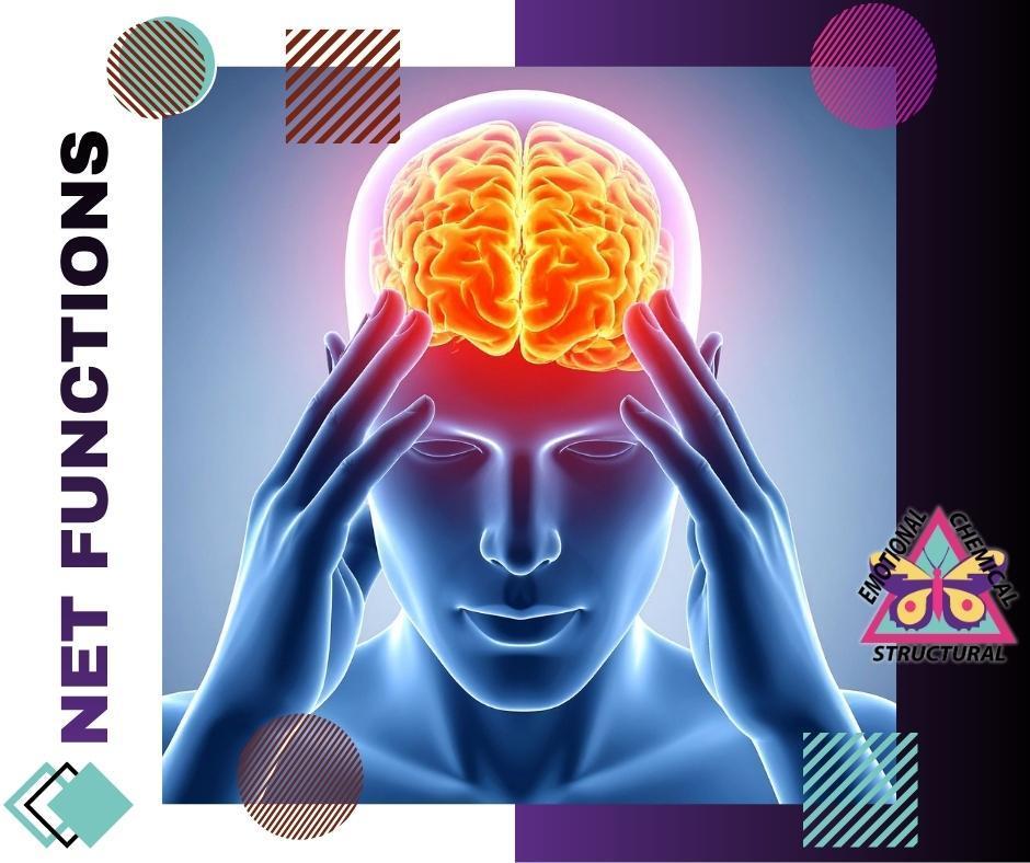 To understand how NET functions, one must first recognize how the human body processes stress. Historically, emotions were categorized as strictly psychological phenomena residing entirely within the brain.