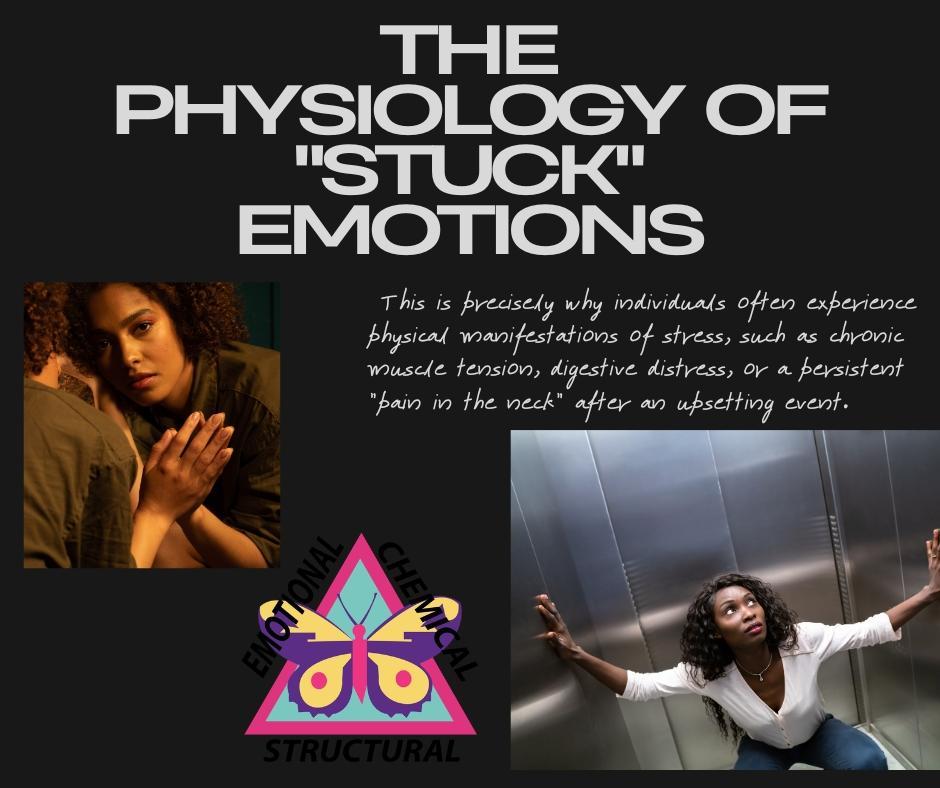 When a person experiences a basic emotion such as fear, anger, grief, or disgust, the nervous system responds dynamically. Under normal circumstances, the body processes this emotional event and naturally "lets go" of the physiological response.