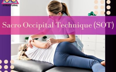 The Architecture of Neurological and Musculoskeletal Health: A Clinical Analysis of Dr. Gochee, SOT