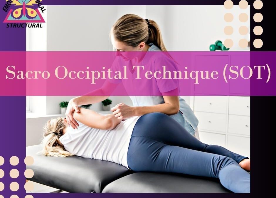 The Architecture of Neurological and Musculoskeletal Health: A Clinical Analysis of Dr. Gochee, SOT